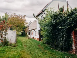 Prodej vinného sklepa, Mikulčice, 65 m2