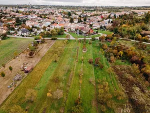 Prodej vinného sklepa, Mikulčice, 65 m2