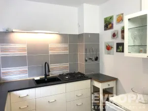 Pronájem bytu 1+kk, Plzeň - Černice, K Lutové, 47 m2