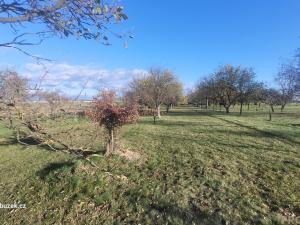 Prodej zahrady, Bochoř, 1909 m2