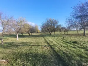 Prodej zahrady, Bochoř, 1909 m2