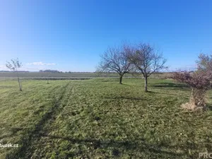 Prodej zahrady, Bochoř, 1909 m2