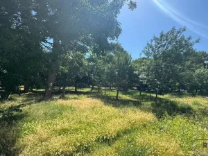 Prodej bytu 3+kk, Montesilvano,Itálie, 55 m2