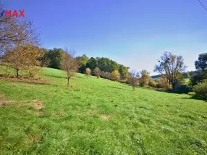 Prodej sadu/vinice, Zlín, 5599 m2