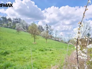 Prodej sadu/vinice, Zlín, 5599 m2