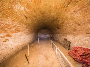 Prodej vícegeneračního domu, Klobouky u Brna - Bohumilice, 420 m2