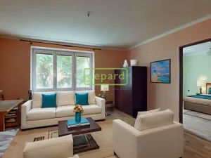 Prodej bytu 2+1, Teplice, Americká, 53 m2