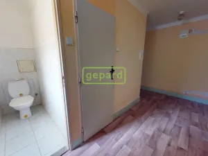Prodej bytu 2+1, Teplice, Americká, 53 m2