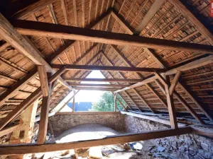 Prodej rodinného domu, Pavlov, 1175 m2