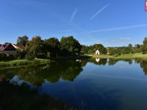 Prodej rodinného domu, Pavlov, 1175 m2