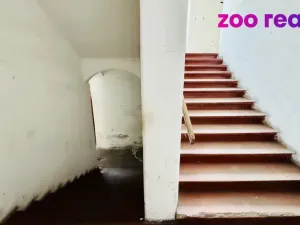 Prodej vícegeneračního domu, Rožmitál na Šumavě, 360 m2