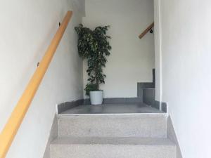 Pronájem bytu 1+kk, Brno - Židenice, Kuklenská, 37 m2