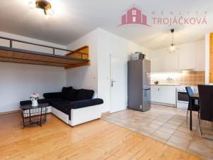 Prodej bytu 1+kk, Vigantice, 36 m2