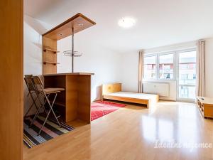 Pronájem bytu 1+kk, Praha - Záběhlice, Záběhlická, 33 m2