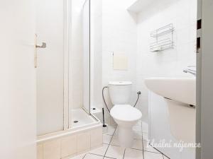 Pronájem bytu 1+kk, Praha - Záběhlice, Záběhlická, 33 m2