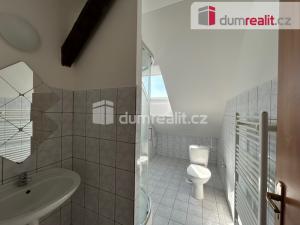 Pronájem bytu 1+kk, Kolín - Kolín V, Ovčárecká, 50 m2