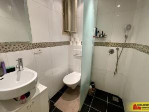 Pronájem bytu 1+kk, Brno, Krkoškova, 42 m2