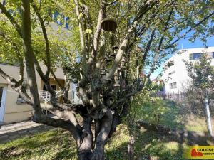 Pronájem bytu 1+kk, Brno, Krkoškova, 42 m2