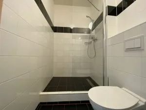 Pronájem bytu 1+kk, Praha - Smíchov, Křížová, 22 m2