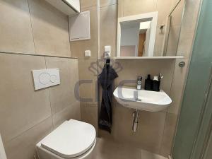 Pronájem bytu 2+kk, Brno - Staré Brno, Nové sady, 48 m2