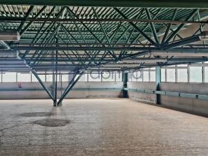 Pronájem obchodního prostoru, Praha, Za Mototechnou, 1137 m2