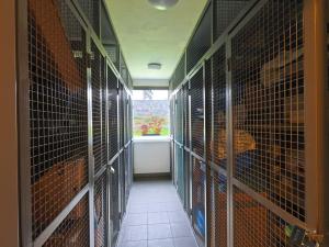 Prodej bytu 3+kk, Nehvizdy, Úvalská, 66 m2