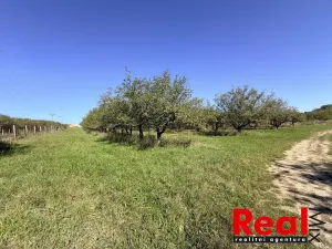 Prodej pozemku pro bydlení, Veverské Knínice, 3129 m2