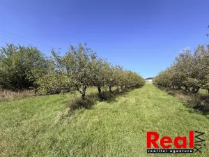 Prodej pozemku pro bydlení, Veverské Knínice, 3129 m2