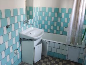 Prodej obchodního prostoru, Telč - Telč-Podolí, Svatoanenská, 600 m2