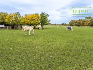 Prodej pozemku pro bydlení, Kostelní Hlavno, 821 m2