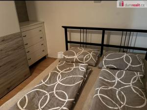 Pronájem bytu 5+kk, Opava - Předměstí, Polní, 91 m2