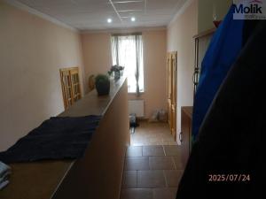 Prodej komerční nemovitosti, Vysoká Pec, 1300 m2