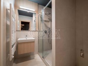 Pronájem bytu 1+kk, Praha - Holešovice, Tusarova, 53 m2