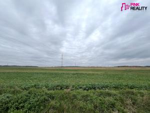 Prodej pole, Rychnov nad Kněžnou, 10233 m2