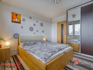 Prodej bytu 4+1, Praha - Záběhlice, Švehlova, 95 m2