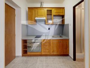 Pronájem bytu 1+kk, Zbůch, Průkopnická, 23 m2