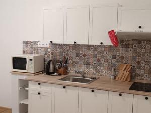 Pronájem bytu 2+1, Karlovy Vary, nábřeží Jana Palacha, 63 m2