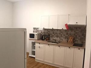 Pronájem bytu 2+1, Karlovy Vary, nábřeží Jana Palacha, 63 m2