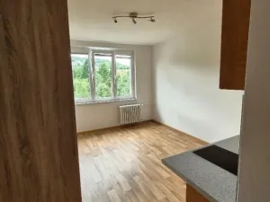 Pronájem bytu 1+kk, Karlovy Vary, Východní, 21 m2