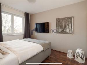 Pronájem bytu 2+kk, Praha, U staré cihelny, 54 m2