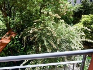 Pronájem bytu 2+kk, Praha - Vinohrady, Polská, 50 m2