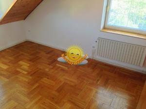 Prodej rodinného domu, Zlatníky-Hodkovice - Hodkovice, Slunečná, 390 m2