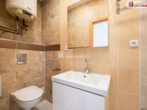 Pronájem bytu 1+kk, České Budějovice - České Budějovice 6, Novohradská, 17 m2
