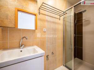 Pronájem bytu 1+kk, České Budějovice - České Budějovice 6, Novohradská, 17 m2