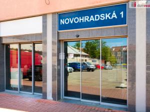 Pronájem bytu 1+kk, České Budějovice - České Budějovice 6, Novohradská, 17 m2