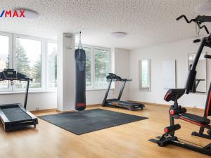 Prodej bytu 1+kk, Trmice, Nerudova, 20 m2