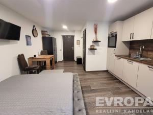 Pronájem bytu 1+kk, Rokytnice nad Jizerou, 22 m2