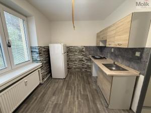 Pronájem bytu 1+1, Most, Lesní, 30 m2