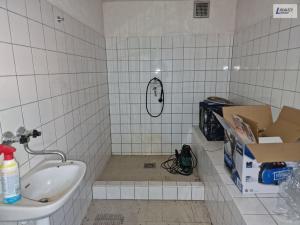 Prodej výrobních prostor, Mladý Smolivec - Starý Smolivec, 278 m2