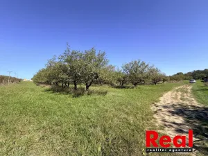 Prodej pozemku pro bydlení, Veverské Knínice, 1043 m2